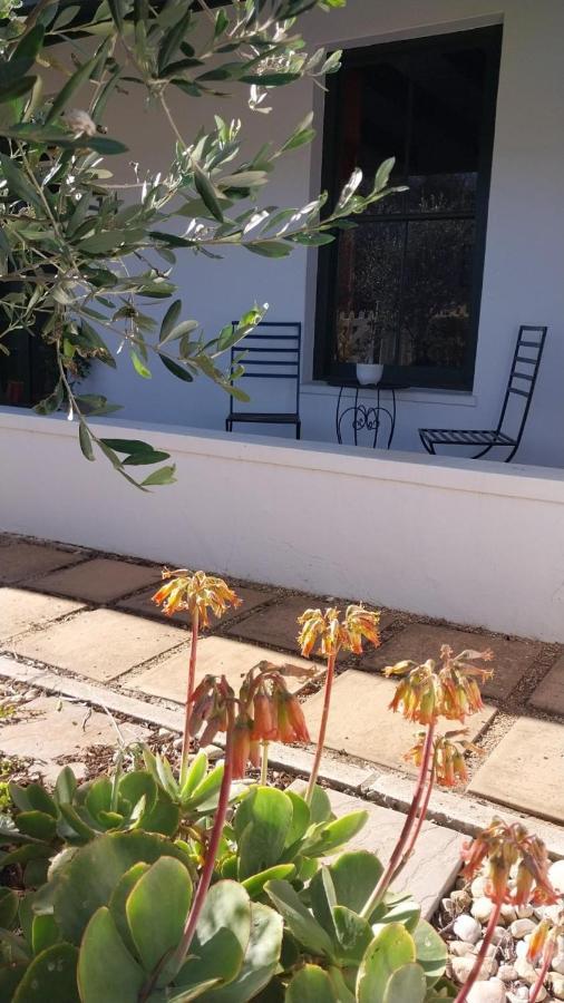 6 Olives B&B Darling Exteriör bild
